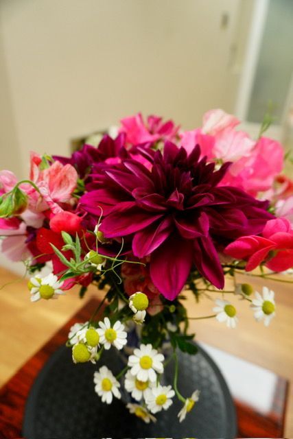 Dahlia flower bouquet