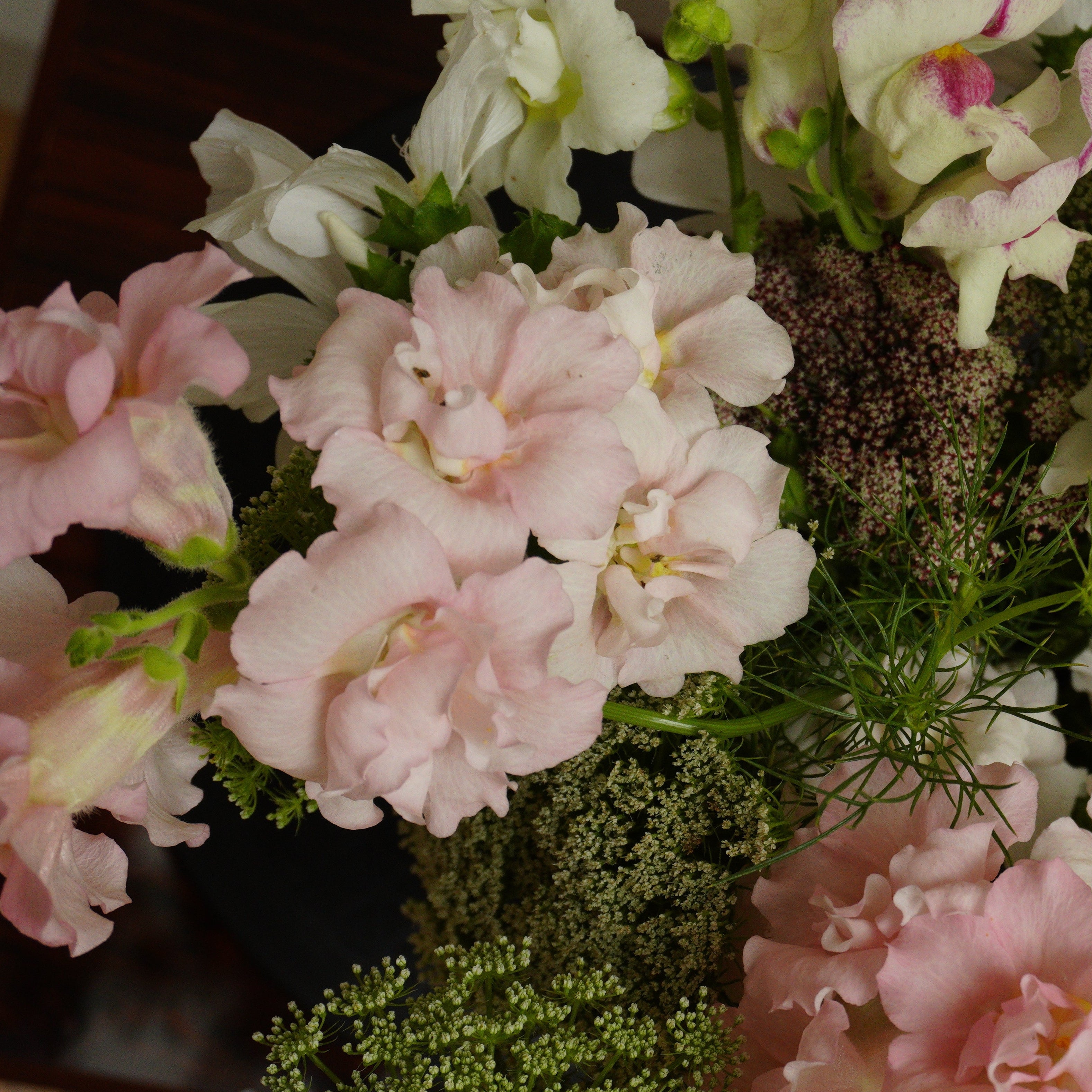 Close-up of a bouquet with pink and white snapdragon glowers 