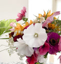 Bouquet of summer flowers including mallow, zinnia, sweet pea and cosmos flowers freshly harvested in my flower farm 